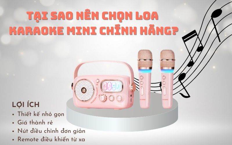 loa hát mini